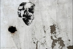 0390 transpa-negro-firma