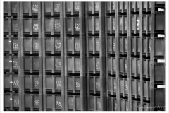 0402marco blanco y firma