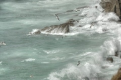 DSC_0309___tonemapped