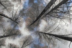 DSC_1166___tonemapped