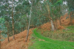 DSC_1285___tonemapped