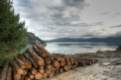 DSC_1316___tonemapped