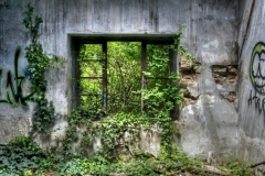 DSC_1697___tonemapped