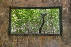 DSC_1713___tonemapped