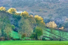 DSC_8147___tonemapped