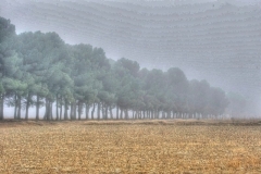 DSC_8443___tonemapped