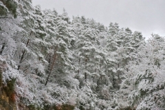 DSC_8572___tonemapped