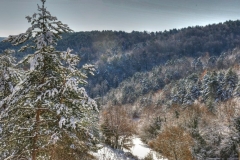 DSC_8627___tonemapped