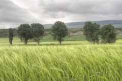 DSC_1156___tonemapped