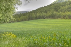 DSC_1462____tonemapped