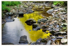 reflejo en el rio3