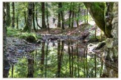 reflejo en el rio7