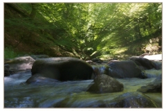 rio quinto real5