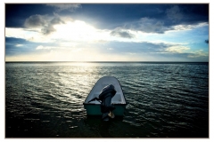 roatan 43