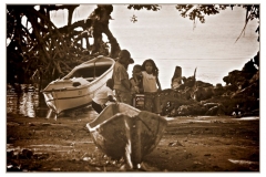 roatan 71