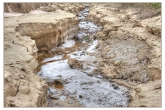 salinas 3