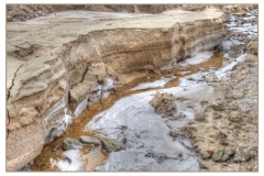 salinas 4