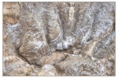 salinas 5
