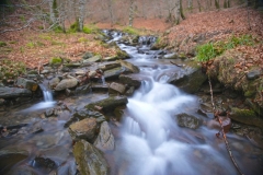_DSC7494