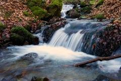 _APA6794 - Version 2