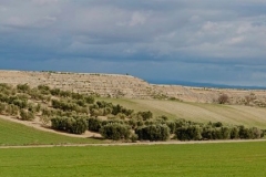 Panorama_sin_titulo1