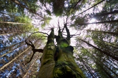 _APA4934 - Version 2