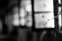 _APA6457 - Version 2