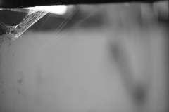 _APA6485 - Version 2