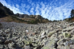 _APA1772 - Version 2