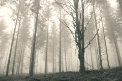 _APA3592 - Version 2