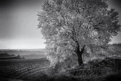250218L1004629-0305-Editar-2-Editar