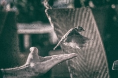 260918_APA2373-3964-Editar-2