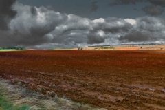 310318L1004852-0626-Pano