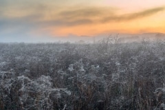 261019EAM06096-9229-Editar-2