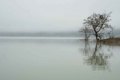 2_311219EAM07910-11315