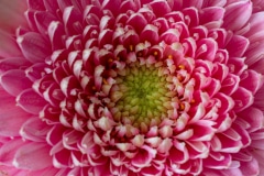 020520EAM00323-198628