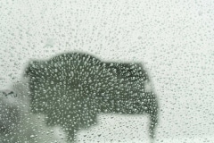 050220EAM08368-0321