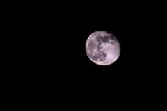 090420APA_1116-193628