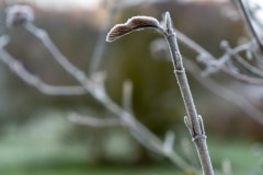 140120EAM08172-0192