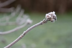 140120EAM08175-0195