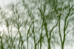 241220EAM05209-216448