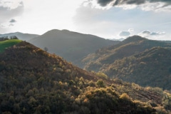 281120EAM04634-215878-Pano