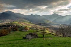 281120EAM04657-215901-Pano