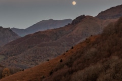 291120EAM04816-216058-Pano
