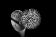 190326DSC_6810-2600-Editar