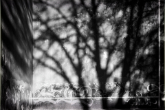 200126fronton-1533-Editar