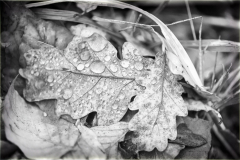 201214_APA2291-23898-Editar