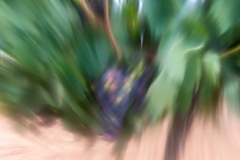 160814_APA8335-19820