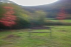 2911130027APA1162-24217