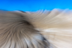 300416_APA0417-2354